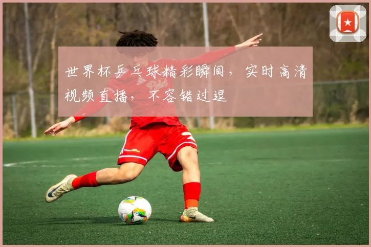 世界杯乒乓球精彩瞬间，实时高清视频直播，不容错过逗