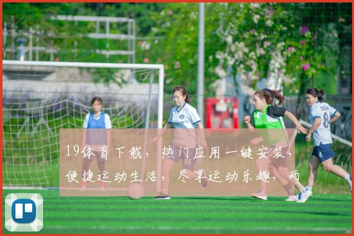 19体育下载，热门应用一键安装，便捷运动生活，尽享运动乐趣，两大亮点不容错过