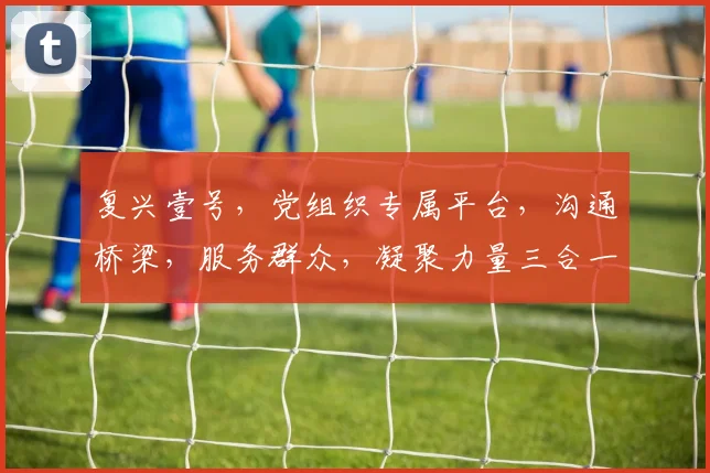 复兴壹号，党组织专属平台，沟通桥梁，服务群众，凝聚力量三合一