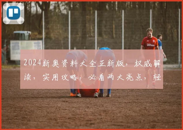 2024新奥资料大全正新版，权威解读，实用攻略，必看两大亮点，轻松掌握