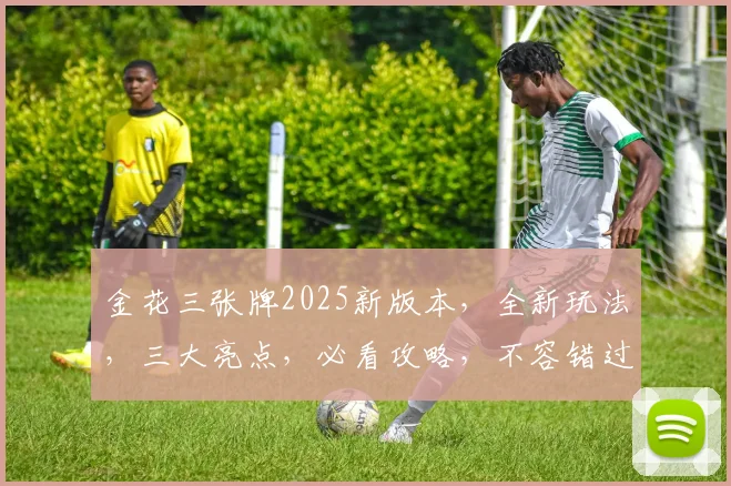 金花三张牌2025新版本，全新玩法，三大亮点，必看攻略，不容错过